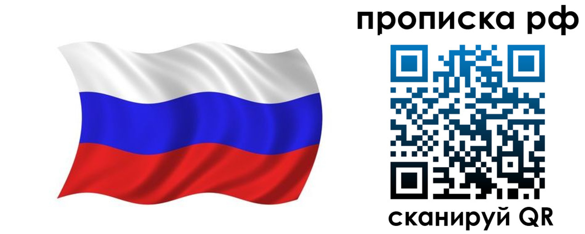 прописка поиск в Коле