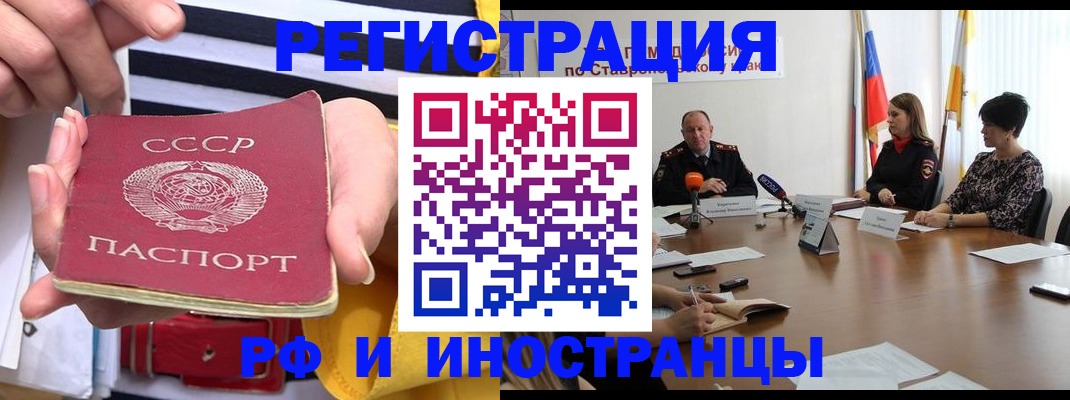 временная регистрация поиск в Коле